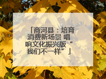 商河县：培育消费新场景 唱响文化振兴版“我们不一样”