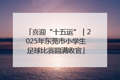喜迎“十五运”｜2025年东莞市小学生足球比赛圆满收官