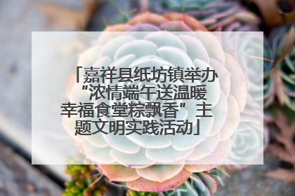 嘉祥县纸坊镇举办“浓情端午送温暖 幸福食堂粽飘香”主题文明实践活动
