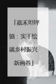 嘉禾坦坪镇：实干绘就乡村振兴新画卷
