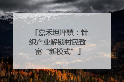 嘉禾坦坪镇：针织产业解锁村民致富“新模式”