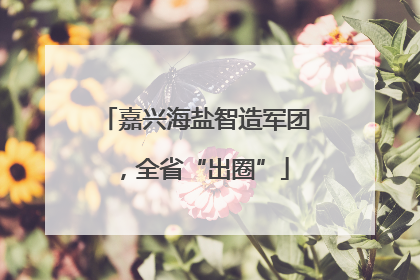 嘉兴海盐智造军团，全省“出圈”