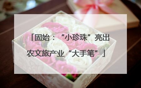 固始：“小珍珠”亮出农文旅产业“大手笔”