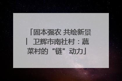 固本强农 共绘新景 ︳卫辉市南社村：蔬菜村的“链”动力