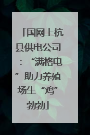 国网上杭县供电公司：“满格电”助力养殖场生“鸡”勃勃