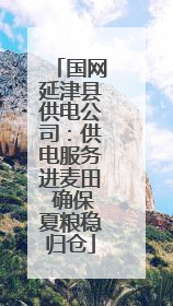 国网延津县供电公司：供电服务进麦田 确保夏粮稳归仓
