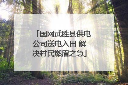 国网武胜县供电公司送电入田 解决村民燃眉之急