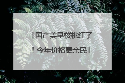 国产美早樱桃红了！今年价格更亲民