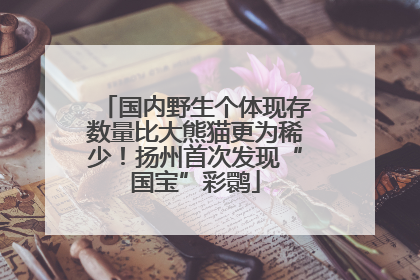 国内野生个体现存数量比大熊猫更为稀少！扬州首次发现“国宝”彩鹮