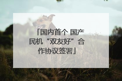 国内首个 国产民机“双友好”合作协议签署
