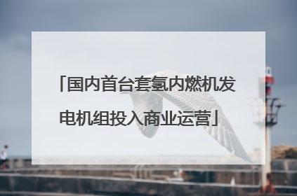 国内首台套氢内燃机发电机组投入商业运营