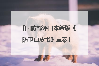 国防部评日本新版《防卫白皮书》草案