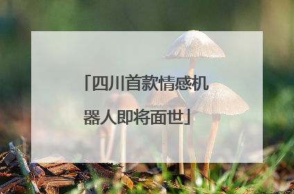 四川首款情感机器人即将面世