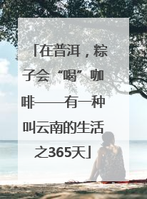 在普洱，粽子会“喝”咖啡——有一种叫云南的生活之365天