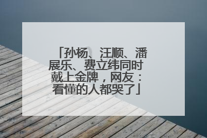 孙杨、汪顺、潘展乐、费立纬同时戴上金牌，网友：看懂的人都哭了