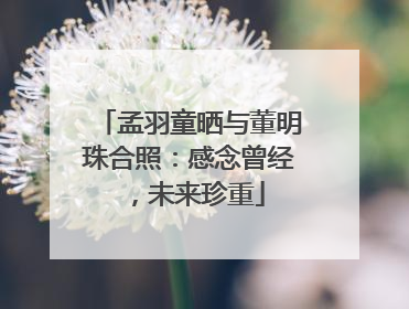 孟羽童晒与董明珠合照：感念曾经，未来珍重