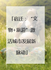 宿迁：“文物+旅游”激活城市发展新脉动