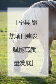 宁县 聚焦项目建设 赋能高质量发展
