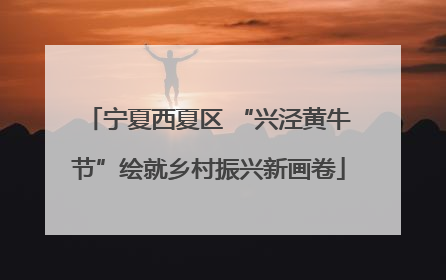 宁夏西夏区 “兴泾黄牛节”绘就乡村振兴新画卷