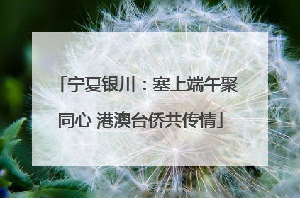 宁夏银川：塞上端午聚同心 港澳台侨共传情