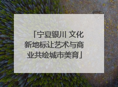 宁夏银川 文化新地标让艺术与商业共绘城市美育
