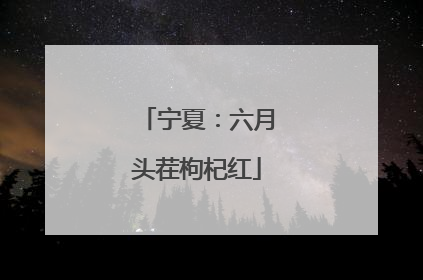 宁夏：六月头茬枸杞红