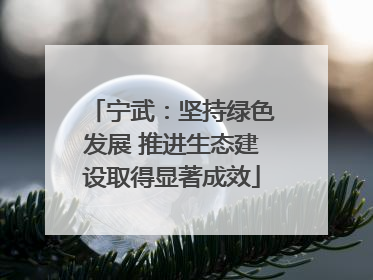宁武：坚持绿色发展 推进生态建设取得显著成效
