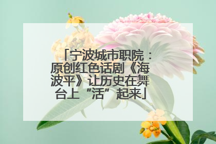 宁波城市职院：原创红色话剧《海波平》让历史在舞台上“活”起来