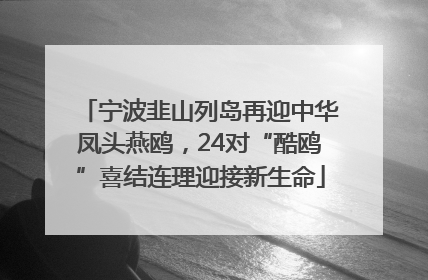 宁波韭山列岛再迎中华凤头燕鸥，24对“酷鸥”喜结连理迎接新生命