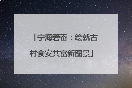 宁海箬岙：绘就古村食安共富新图景