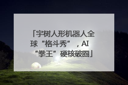 宇树人形机器人全球“格斗秀”，AI“拳王”硬核破圈