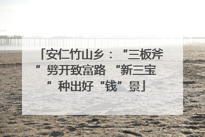 安仁竹山乡：“三板斧”劈开致富路 “新三宝”种出好“钱”景