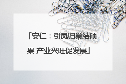 安仁：引凤归巢结硕果 产业兴旺促发展