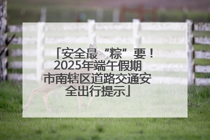 安全最“粽”要！2025年端午假期市南辖区道路交通安全出行提示