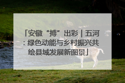 安徽“搏”出彩｜五河：绿色动能与乡村振兴共绘县域发展新图景