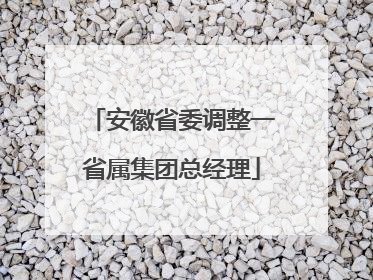 安徽省委调整一省属集团总经理