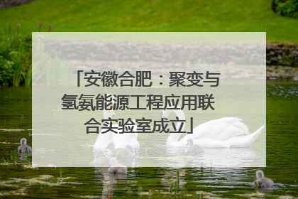 安徽合肥：聚变与氢氨能源工程应用联合实验室成立