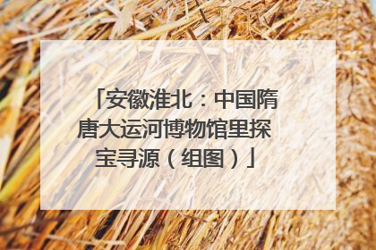 安徽淮北：中国隋唐大运河博物馆里探宝寻源（组图）