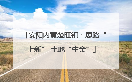 安阳内黄楚旺镇：思路“上新” 土地“生金”