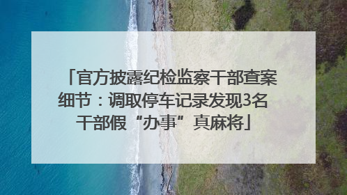 官方披露纪检监察干部查案细节：调取停车记录发现3名干部假“办事”真麻将