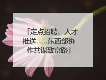定点招聘、人才推送……东西部协作共谋致富路