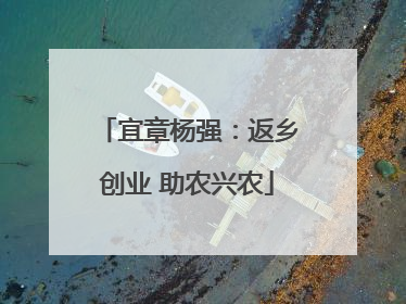 宜章杨强：返乡创业 助农兴农