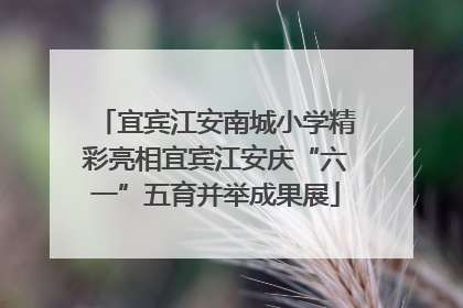 宜宾江安南城小学精彩亮相宜宾江安庆“六一”五育并举成果展
