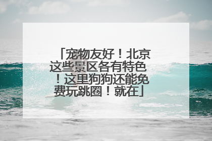 宠物友好！北京这些景区各有特色！这里狗狗还能免费玩跳圈！就在
