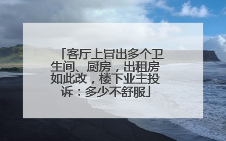 客厅上冒出多个卫生间、厨房，出租房如此改，楼下业主投诉：多少不舒服
