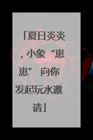 夏日炎炎，小象“崽崽” 向你发起玩水邀请