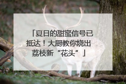 夏日的甜蜜信号已抵达！大厨教你烧出荔枝新“花头”