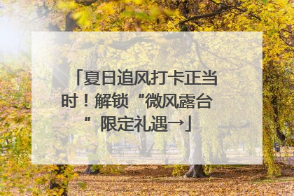 夏日追风打卡正当时！解锁“微风露台”限定礼遇→