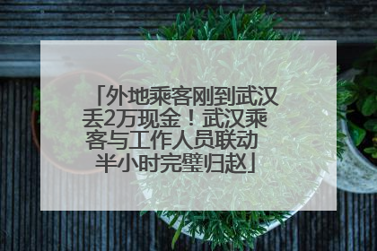 外地乘客刚到武汉丢2万现金！武汉乘客与工作人员联动 半小时完璧归赵