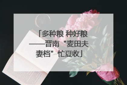 多种粮 种好粮——晋南“麦田夫妻档”忙夏收